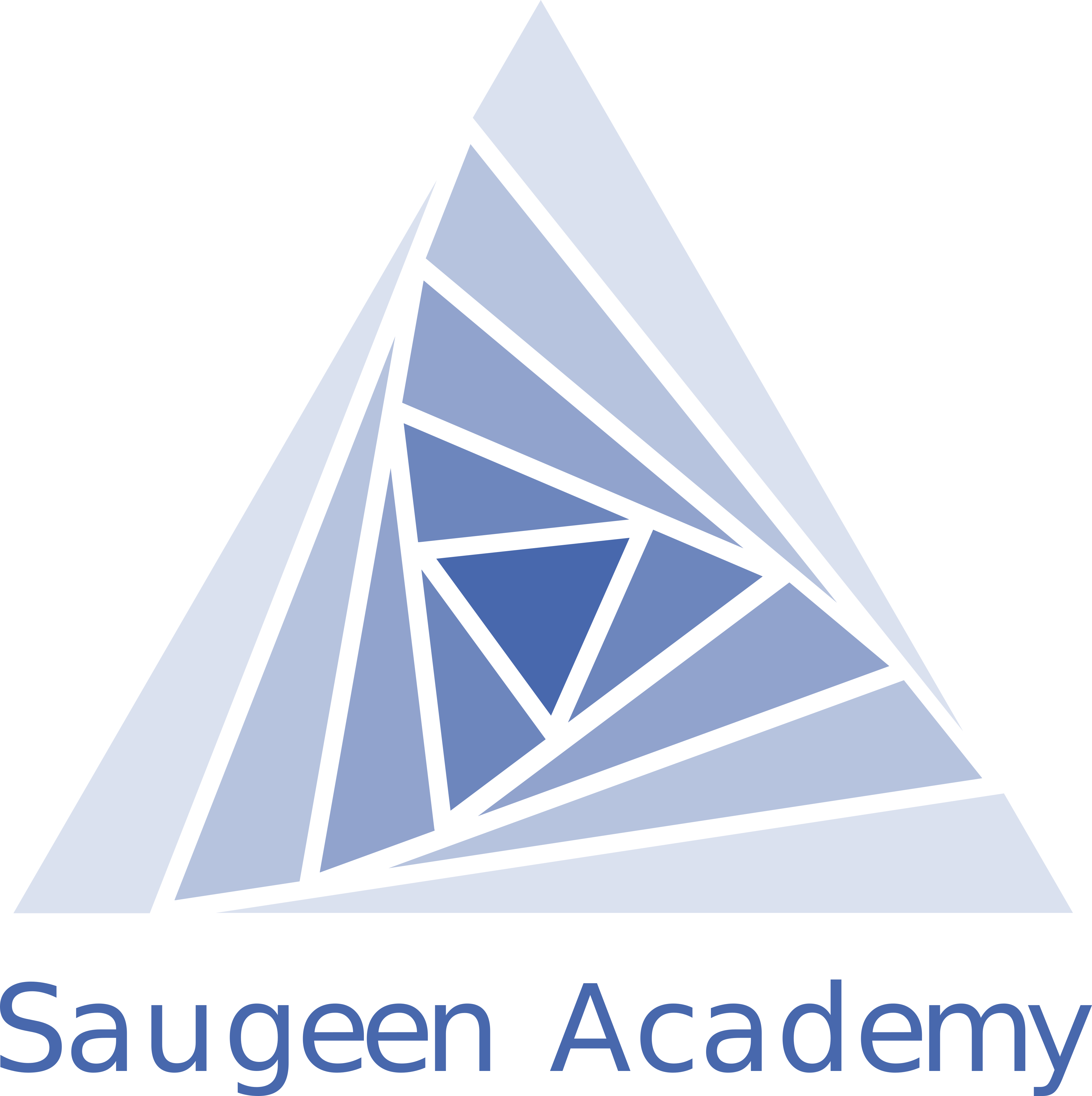 Saugeen Academy Logo and Link